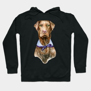 Chocolate lab Hoodie